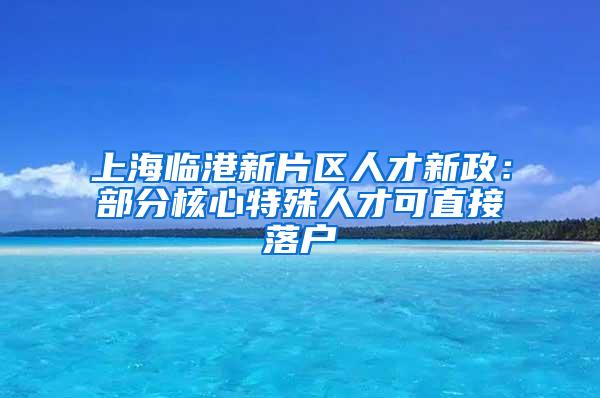 上海临港新片区人才新政：部分核心特殊人才可直接落户