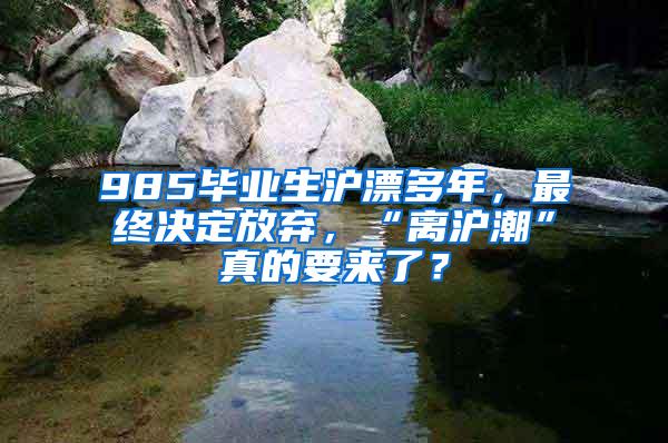 985毕业生沪漂多年，最终决定放弃，“离沪潮”真的要来了？