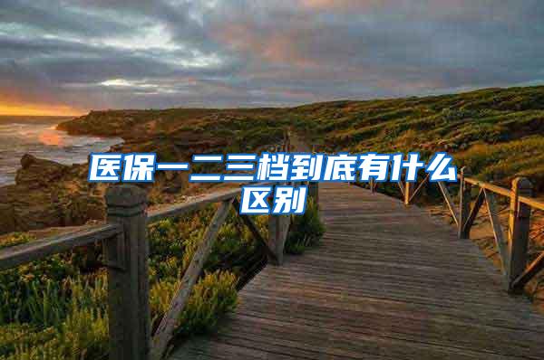 医保一二三档到底有什么区别