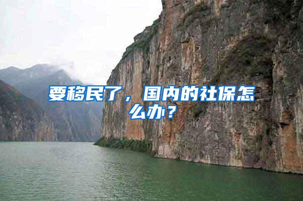 要移民了，国内的社保怎么办？