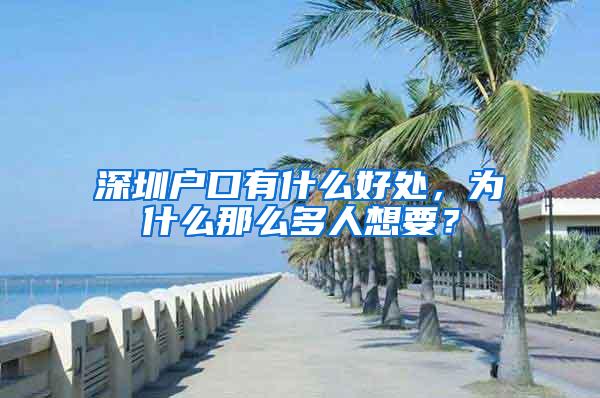 深圳户口有什么好处，为什么那么多人想要？