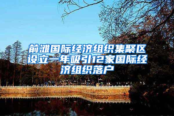 前滩国际经济组织集聚区设立一年吸引12家国际经济组织落户