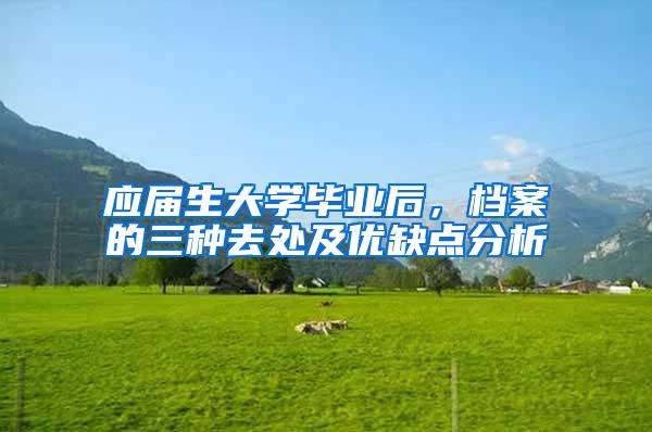 应届生大学毕业后，档案的三种去处及优缺点分析