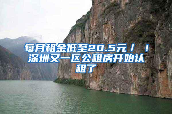 每月租金低至20.5元／㎡！深圳又一区公租房开始认租了