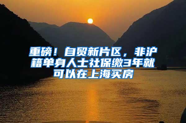 重磅！自贸新片区，非沪籍单身人士社保缴3年就可以在上海买房
