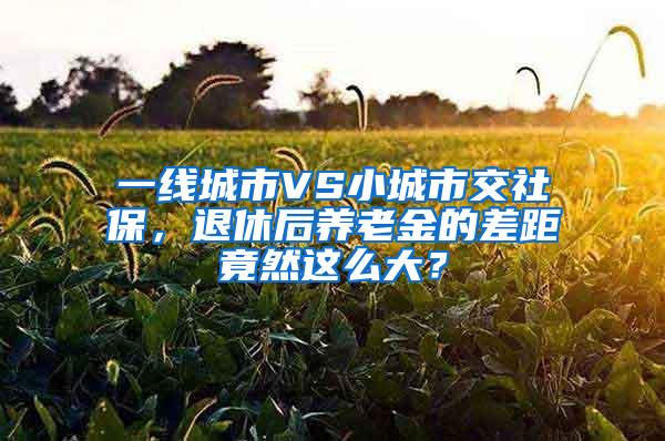 一线城市VS小城市交社保，退休后养老金的差距竟然这么大？