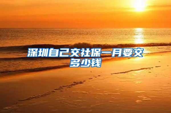 深圳自己交社保一月要交多少钱