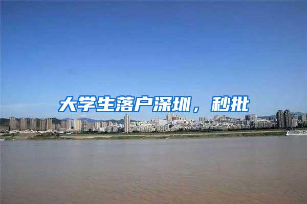 大学生落户深圳，秒批