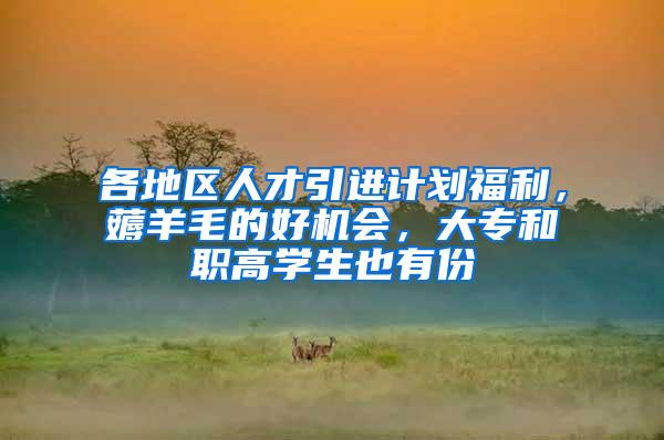 各地区人才引进计划福利，薅羊毛的好机会，大专和职高学生也有份