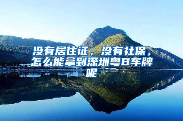 没有居住证，没有社保，怎么能拿到深圳粤B车牌呢