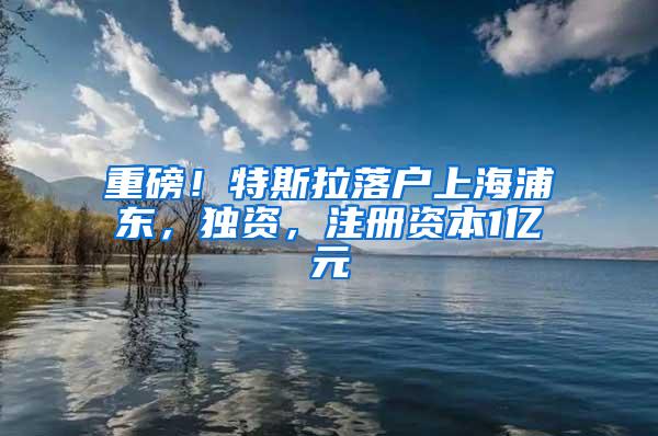 重磅！特斯拉落户上海浦东，独资，注册资本1亿元