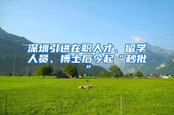 深圳引进在职人才、留学人员、博士后今起“秒批”