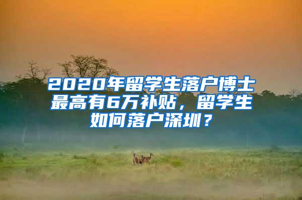 2020年留学生落户博士最高有6万补贴，留学生如何落户深圳？