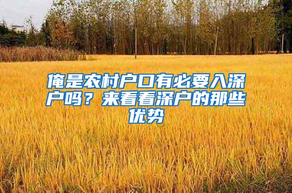 俺是农村户口有必要入深户吗？来看看深户的那些优势