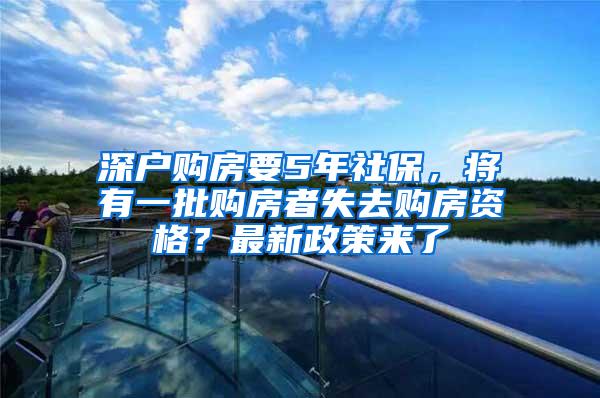 深户购房要5年社保，将有一批购房者失去购房资格？最新政策来了