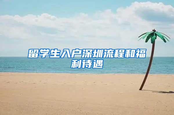 留学生入户深圳流程和福利待遇