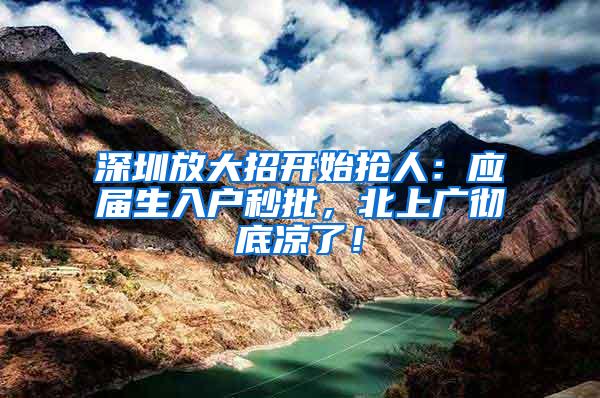 深圳放大招开始抢人：应届生入户秒批，北上广彻底凉了！