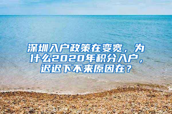 深圳入户政策在变宽，为什么2020年积分入户，迟迟下不来原因在？
