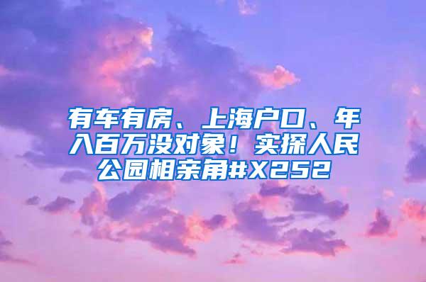 有车有房、上海户口、年入百万没对象！实探人民公园相亲角#X252