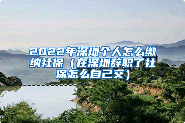 2022年深圳个人怎么缴纳社保（在深圳辞职了社保怎么自己交）