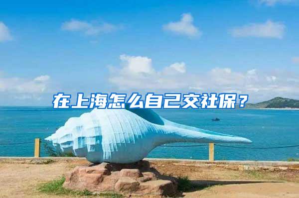 在上海怎么自己交社保？