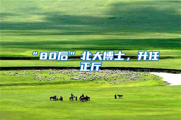 “80后”北大博士，升任正厅