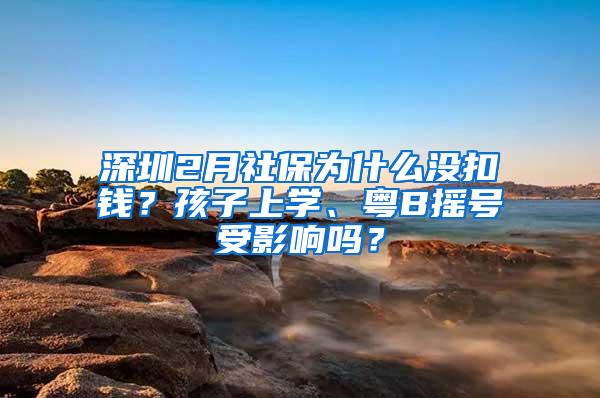 深圳2月社保为什么没扣钱？孩子上学、粤B摇号受影响吗？