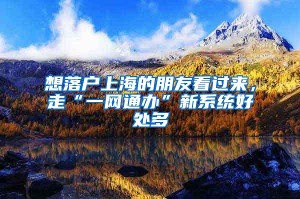 想落户上海的朋友看过来，走“一网通办”新系统好处多