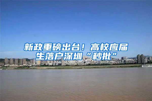 新政重磅出台！高校应届生落户深圳“秒批”