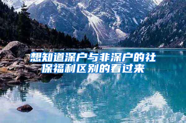 想知道深户与非深户的社保福利区别的看过来
