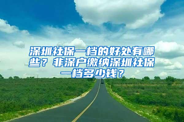 深圳社保一档的好处有哪些？非深户缴纳深圳社保一档多少钱？