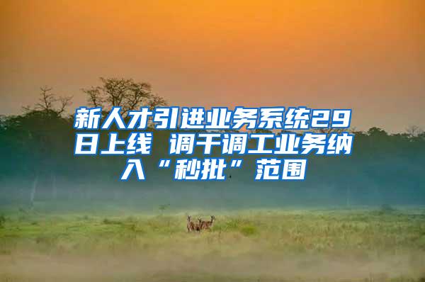 新人才引进业务系统29日上线 调干调工业务纳入“秒批”范围