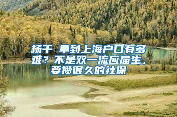 杨千嬅拿到上海户口有多难？不是双一流应届生，要攒很久的社保