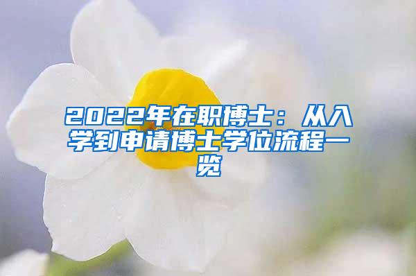2022年在职博士：从入学到申请博士学位流程一览