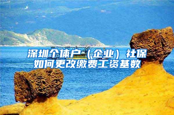 深圳个体户（企业）社保如何更改缴费工资基数