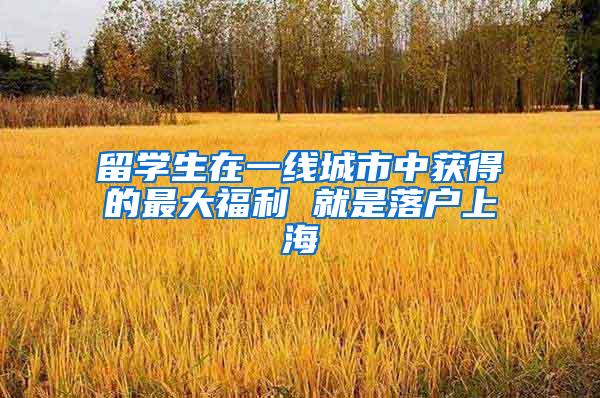 留学生在一线城市中获得的最大福利 就是落户上海