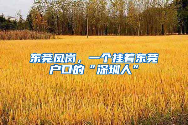 东莞凤岗，一个挂着东莞户口的“深圳人”