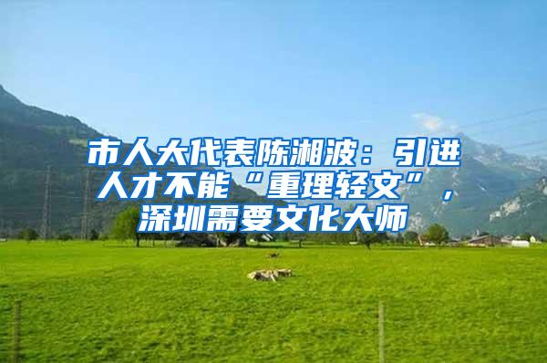 市人大代表陈湘波：引进人才不能“重理轻文”，深圳需要文化大师