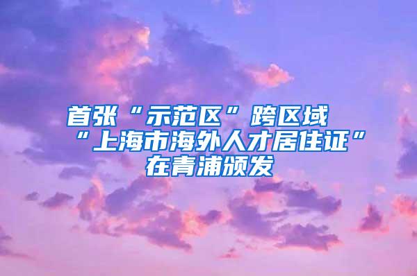 首张“示范区”跨区域“上海市海外人才居住证”在青浦颁发