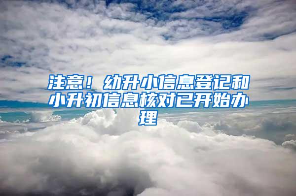 注意！幼升小信息登记和小升初信息核对已开始办理
