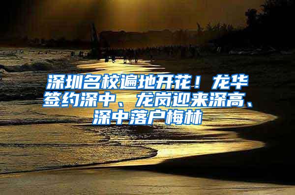 深圳名校遍地开花！龙华签约深中、龙岗迎来深高、深中落户梅林