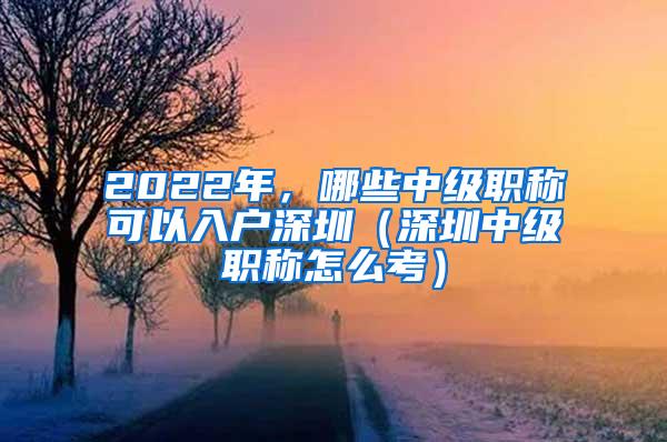 2022年，哪些中级职称可以入户深圳（深圳中级职称怎么考）