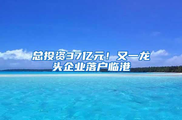 总投资37亿元！又一龙头企业落户临港
