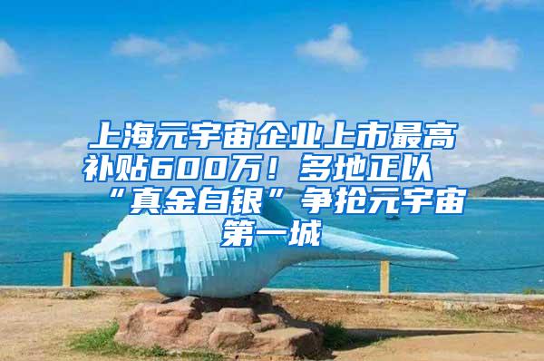 上海元宇宙企业上市最高补贴600万！多地正以“真金白银”争抢元宇宙第一城