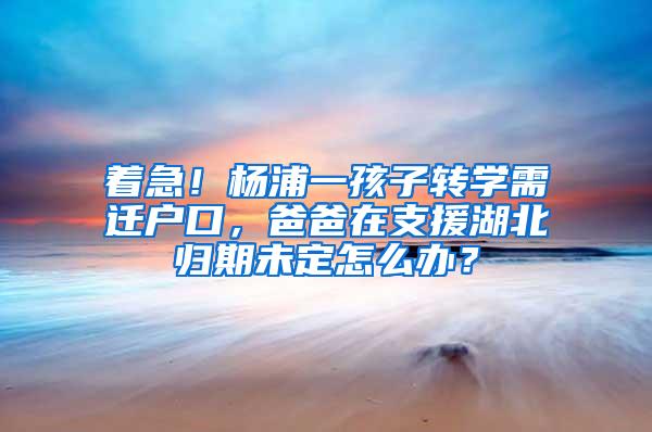 着急！杨浦一孩子转学需迁户口，爸爸在支援湖北归期未定怎么办？
