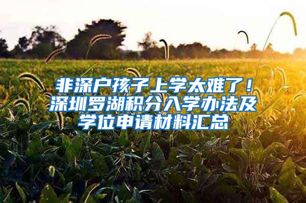非深户孩子上学太难了！深圳罗湖积分入学办法及学位申请材料汇总