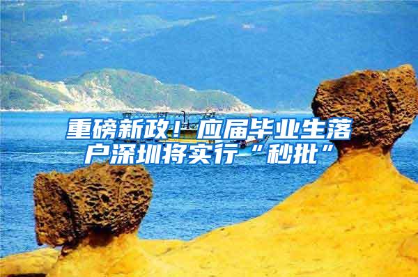 重磅新政！应届毕业生落户深圳将实行“秒批”