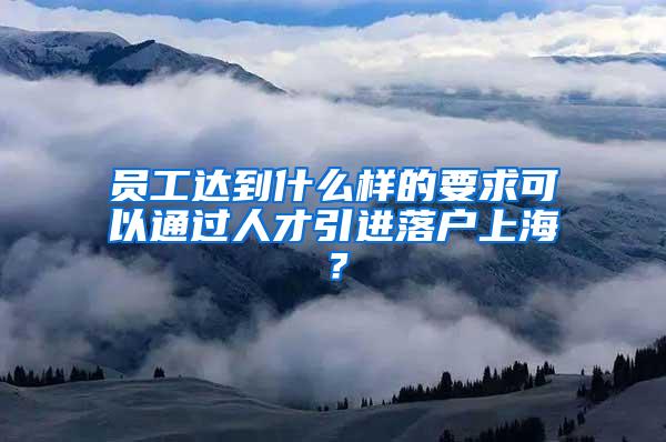 员工达到什么样的要求可以通过人才引进落户上海？