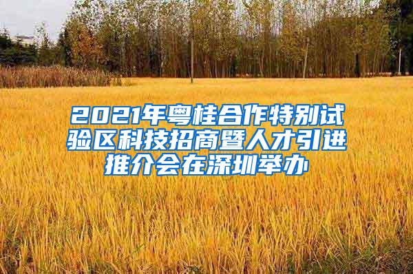 2021年粤桂合作特别试验区科技招商暨人才引进推介会在深圳举办