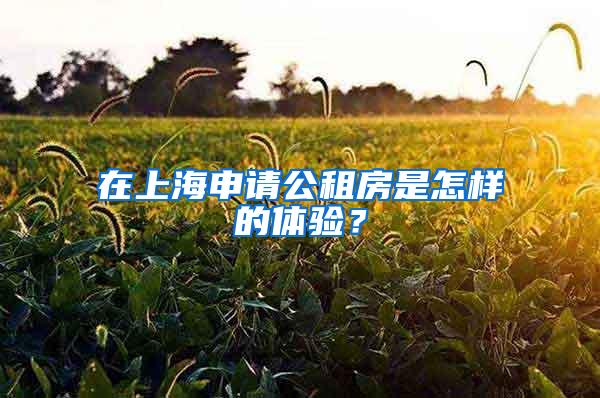 在上海申请公租房是怎样的体验？